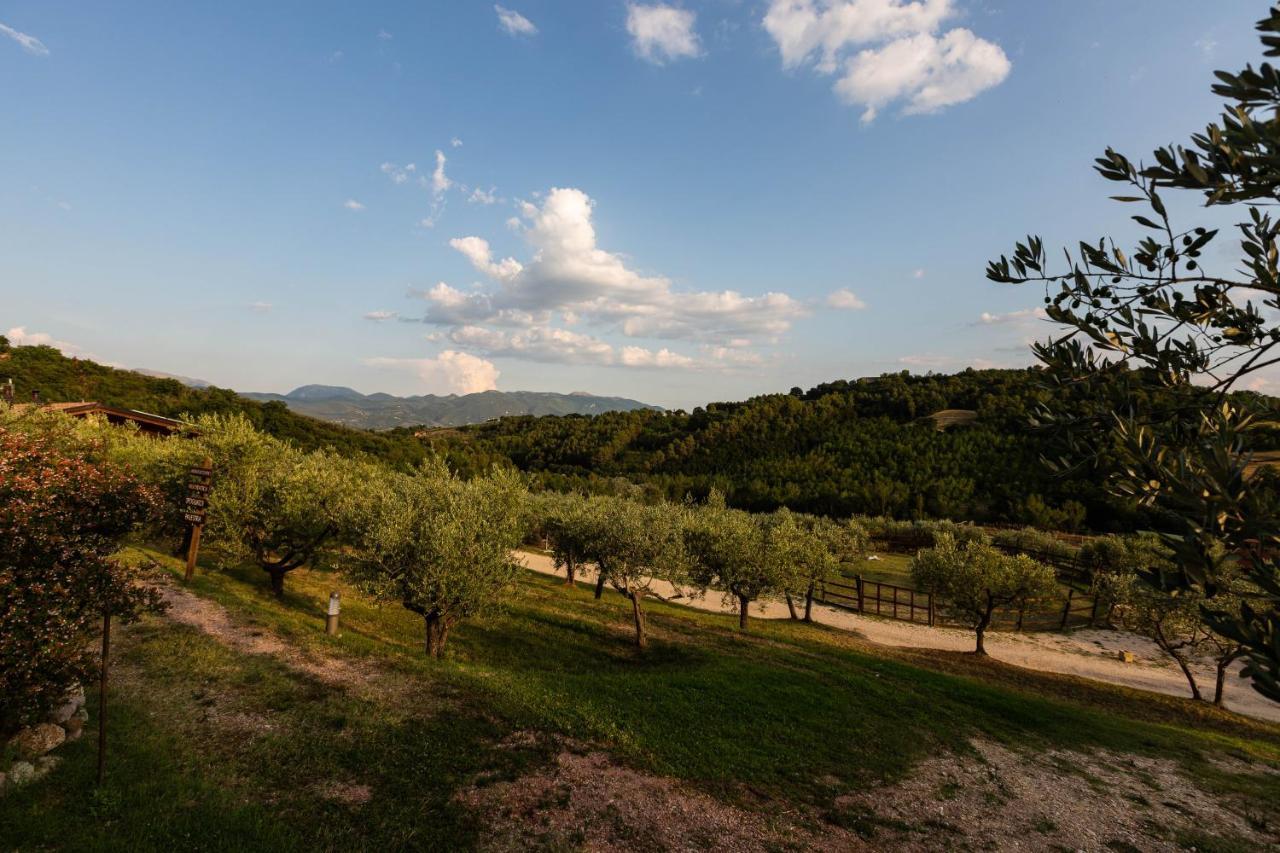 Agriturismo Agrileisuretime Spoleto Exteriör bild