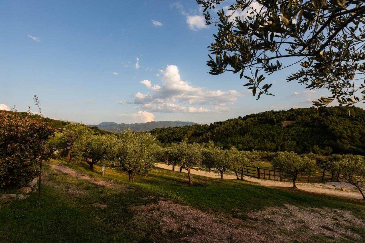 Agriturismo Agrileisuretime Spoleto Exteriör bild