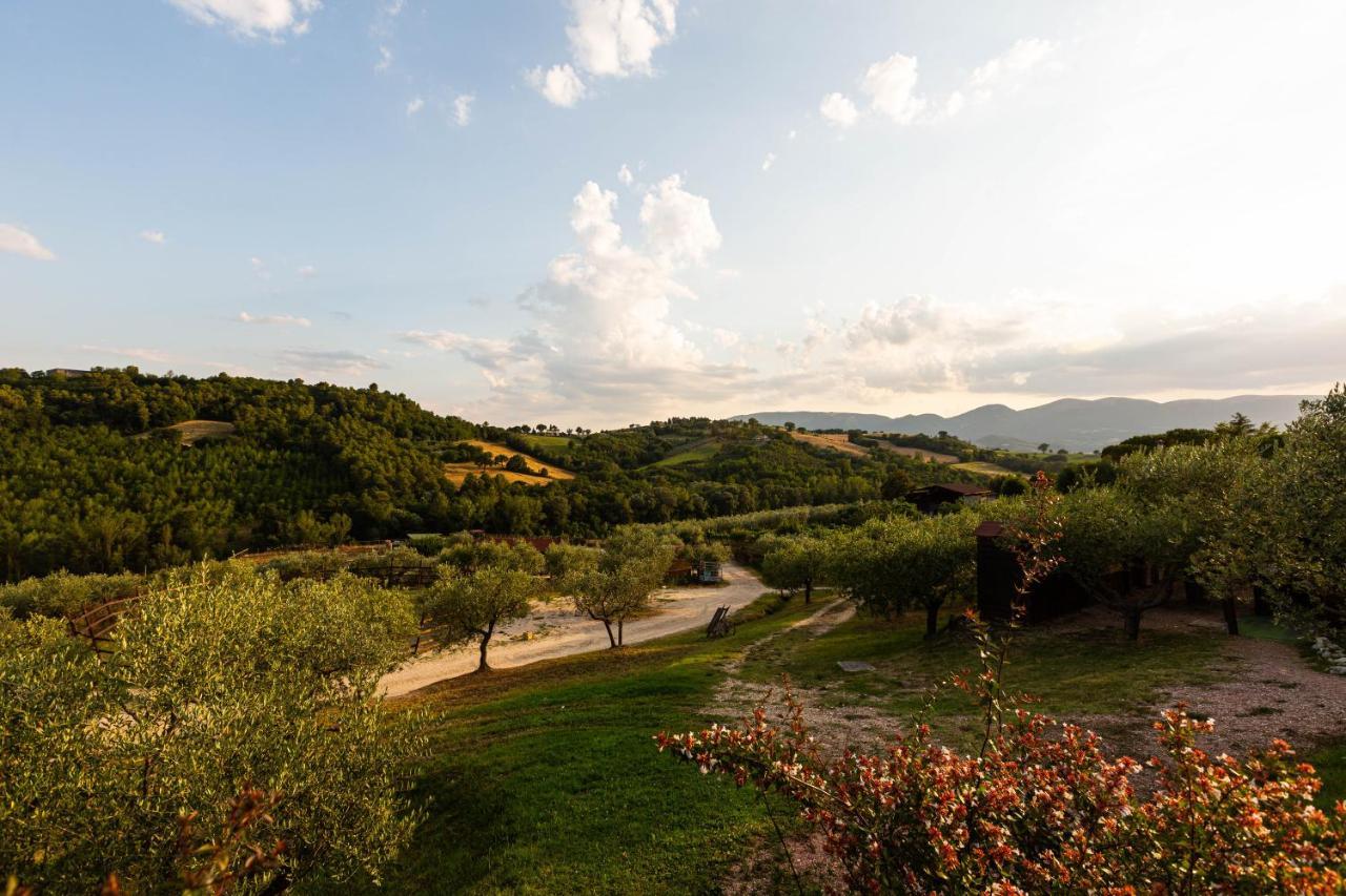 Agriturismo Agrileisuretime Spoleto Exteriör bild