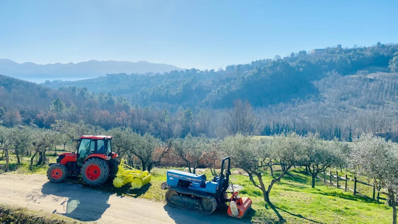 Agriturismo Agrileisuretime Spoleto Exteriör bild